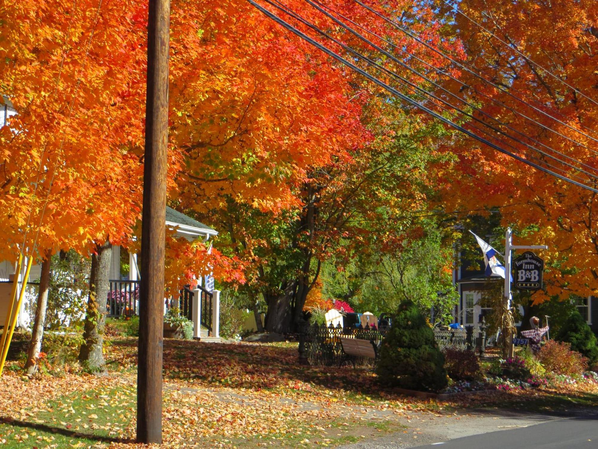 Farmhouse Inn B&B Canning ภายนอก รูปภาพ
